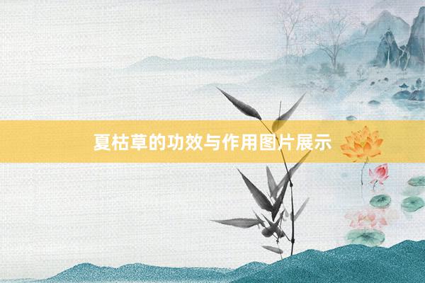 夏枯草的功效与作用图片展示